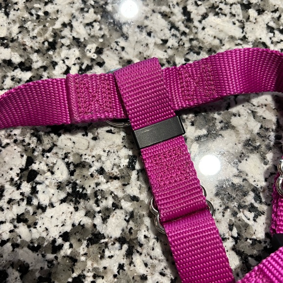 2 Hounds Design - No Pull Harness - Picture 7 of 10